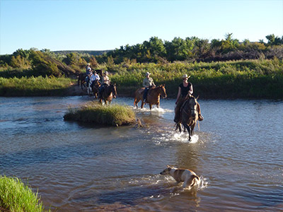 Creek Ranch