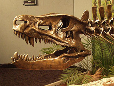 Mesalands Dinosaur Museum