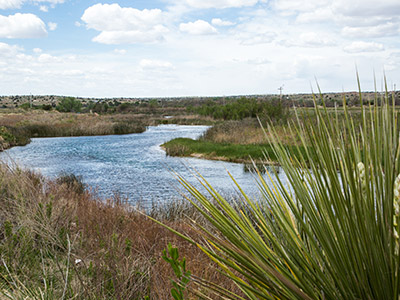 El Rito Creek & Wetlands Preserves
